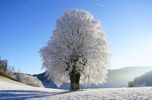 Hej! Utsikten Foto: Pixabay Vi befinner oss i slutet av januari, vintern håller sitt grepp med både kyla och snö. En bra tid för dem som uppskattar skidåkning eller annan vintersportaktivitet.