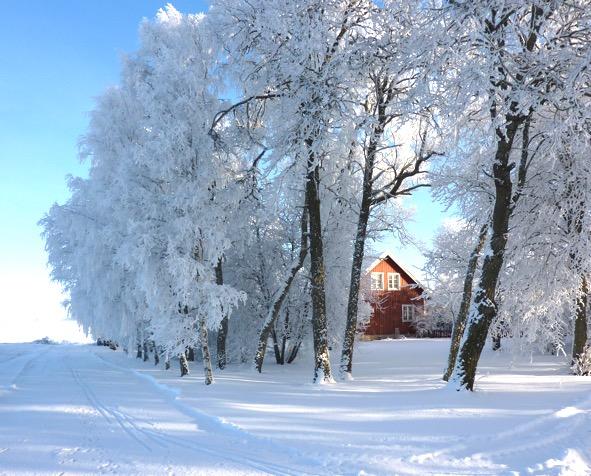 Hej alla! Hoppas ni har det fint i den krispiga vinterkylan! Just nu är det så vackert utanför fönstret med alla snötyngda träd att man knappt tror det är sant J.