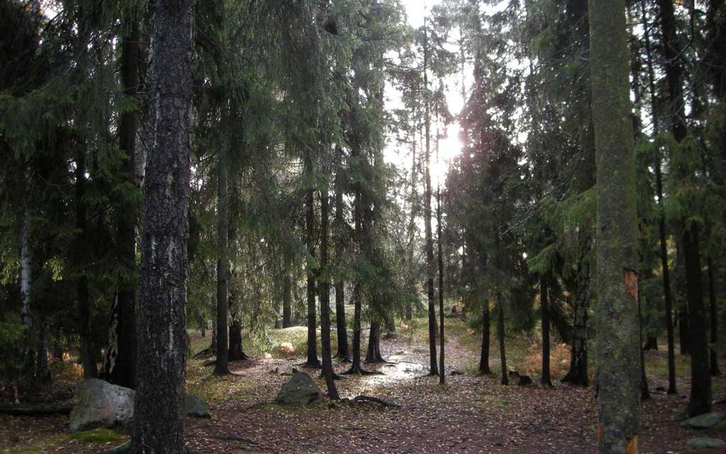 planområdets södra del