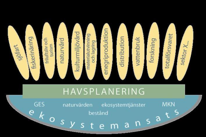 Havsplaneringens syfte Många ska samsas om havet. Havsplanering används för att visa hur havet ska användas effektivt och hållbart nu och i framtiden.