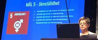 AKTIVITETER I FN-FÖRENINGAR OCH FN-DISTRIKT Anette Garney talar på internationella dagen för mänskliga rättigheter.