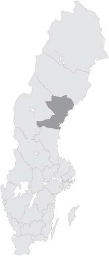 VÄSTERNORRLAND Statliga medel för regional kulturverksamhet 2006-2008, tusentals kronor 200 000 150 000 100 000 50 000 0 169 136 179 910 186 609 Statliga medel för regional kulturverksamhet