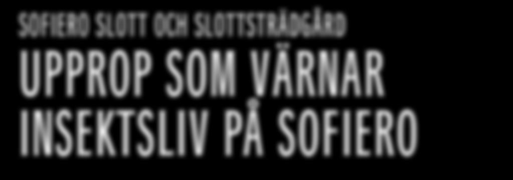 Jorden i kullarna är Hasselfors Gardens gräsmattejord. Jorden är mycket bra att använda när vi vill skapa volym.