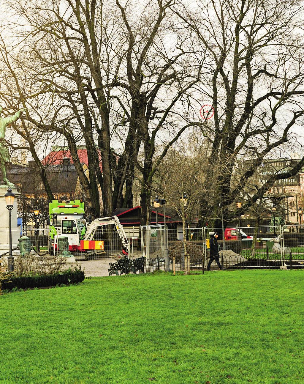 GREEN LANDSCAPING BERÖMDA ALMAR FÅR ÖMSINT VÅRD De har blivit kramade, omhuldade och rikskända.