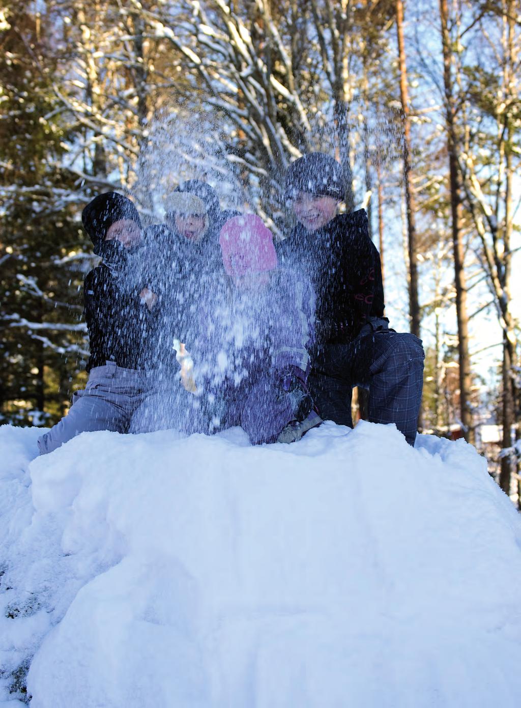 Familjevårdens