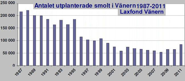 90-talets smoltutsättningar som satte Vänern på kartan.