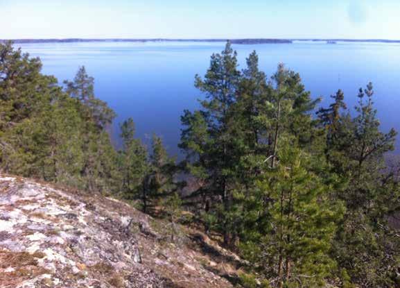113 GRÖNPLAN REMISSVERSION 190114 Limpa vid Vallby (störst), Kullersta vid Mälarstranden. Fornborgar Ett 40-tal finns i Eskilstuna kommun. Under bronsåldern (år 1.