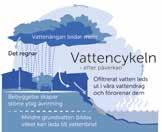Det mesta av detta är kostnadsfritt för människan så länge det lämnas utrymme för ekosystemens funktion. Ingen långsiktigt hållbar utveckling är möjlig om ekosystemtjänsterna gradvis försvagas.
