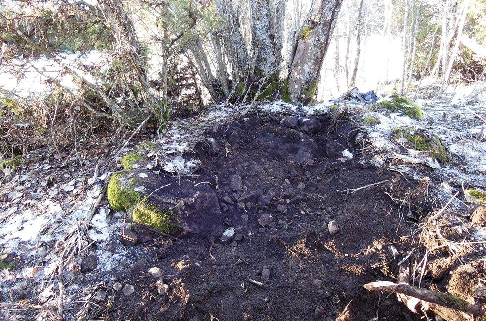 10 varav några sannolikt härrör från senare röjningar. I utredningsschakten iakttogs mörkfärgad mylla med rikligt med skärvsten, samt rundade stenar, 0,01 0,1 meter stora.