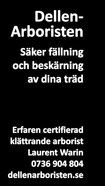 väggbeklädnad i våtrum. BYTA FÖNSTER?