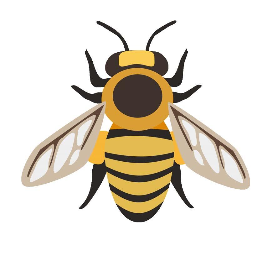 Aktivitetens mål Tanken med pollineringsleken är att deltagarna genom lek, rörelse, reflektion och diskussion ska utveckla sin medvetenhet och förståelse om hur betydelsefull ekosystemtjänsten