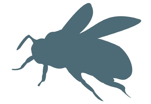 Instruera deltagarna att de snart kommer att förvandlas till bin och humlor. Uppdraget är att hjälpa äppelodlaren - som är du - att pollinera äppelträden som står i full blom.