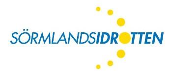 Att vara en stöttande idrottsförälder Love Swartz