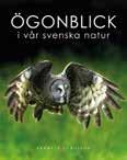 fina naturbilder!
