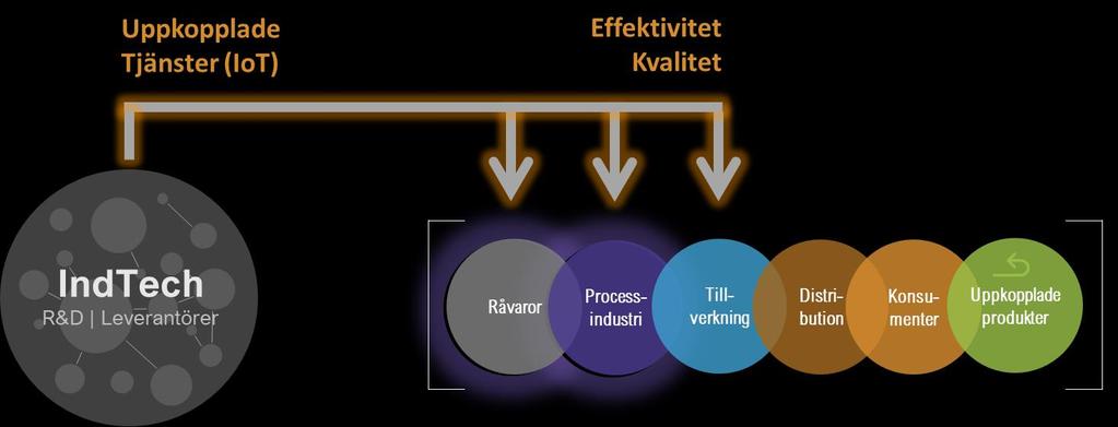 5 (16) 2 Vad vill PiiA åstadkomma med finansieringen?