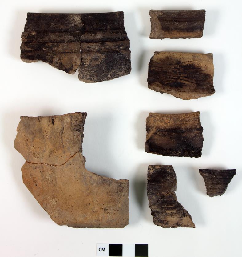 Fig. 1. Östersjökeramik från Västra Ingelstad 10:5. Flertalet av skärvorna påträffades i A32. Fig. 2. Profilteckningar av mynningarna av östersjökeramik från Västra Ingelstad 10:5. Skala 1:2.