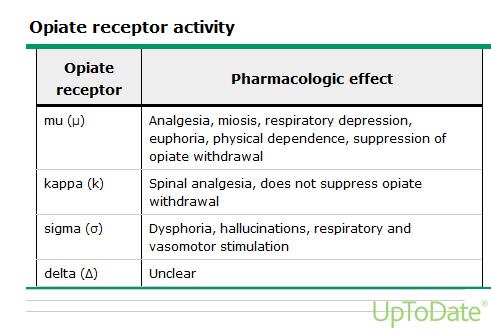 Skillnad i effekt mellan olika opioider Oral biotillgänglighet Levermetabolism