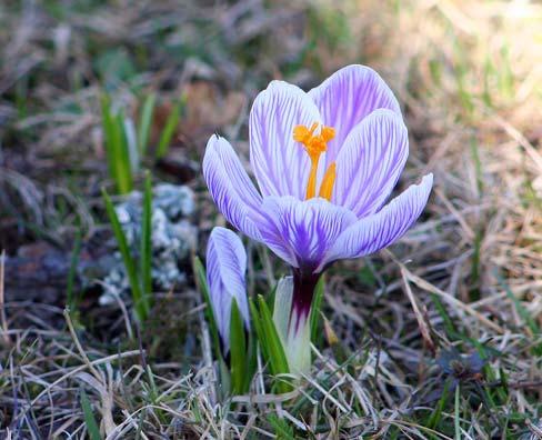 2 Mars 2019 Innehåll 2 3 4 4 5 5 6 6 7 8 8 8 9 9