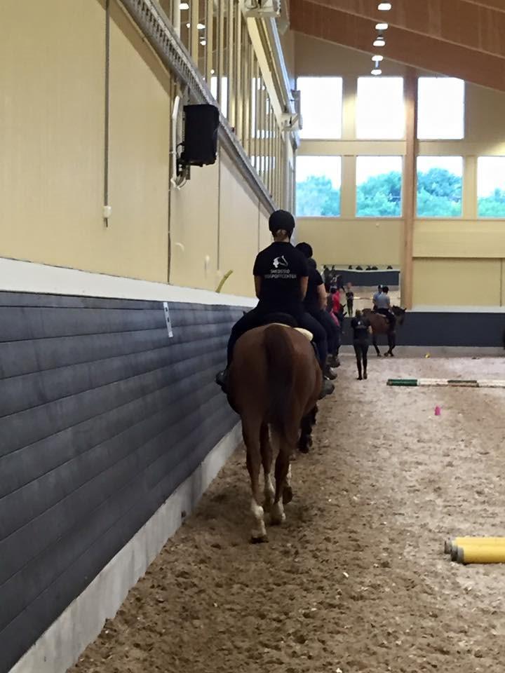 Du rider två lektioner per dag, tid finns också för att pyssla med hästarna, rykta, sadla och kratsa hovar.
