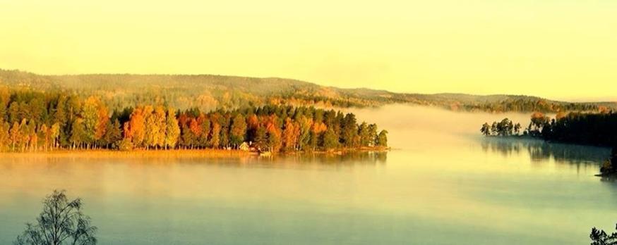 Ånimmen är en sjö i Dalsland i närheten av Vänern med en area på 16 km². Sjön ligger belägen i en lång och smal sprickdal vilket gör sjön smal och avlång. Det största djupet är 32 meter.