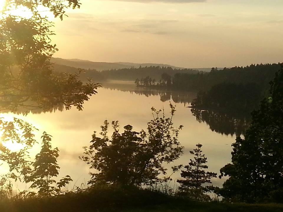 Midsommarstången var ursprungligen en symbol för fruktsamhet, vilket också förklarar dess likhet med ett manligt könsorgan.