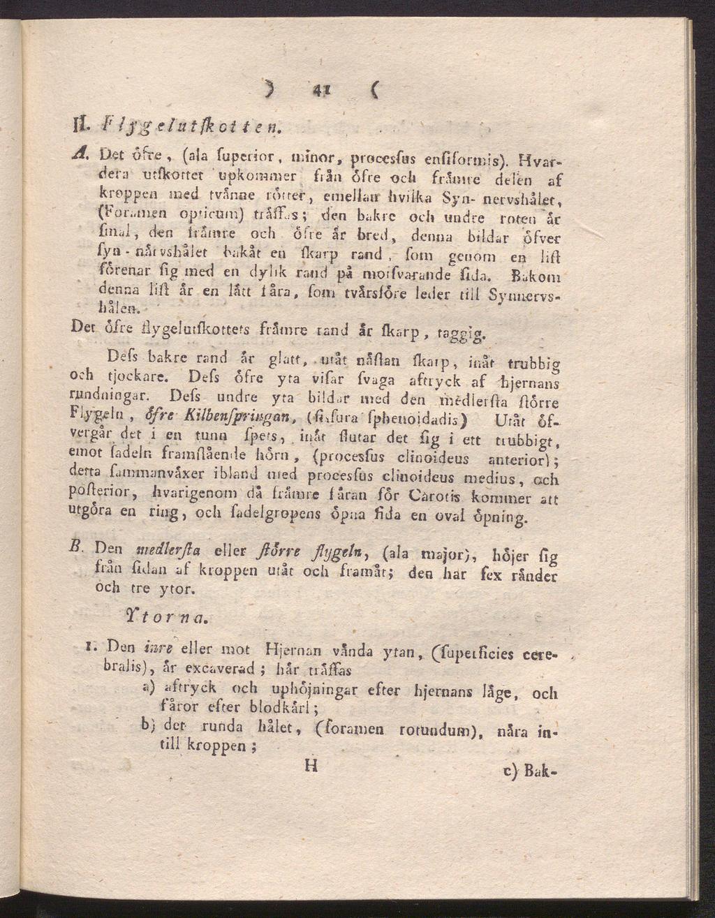 ii f' h'o elu tfk ot t e n. ) 4t ( A. Det ofre, (ala fuperior, minor, procesfus enfiformis).