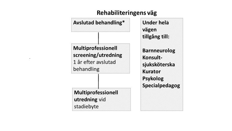 Tidpunkter Utredningar och stöd bör erbjudas vid följande tidpunkter: Efter avslutad behandling under tiden före den multiprofessionella utredningen bör barnet och dess familj erbjudas information
