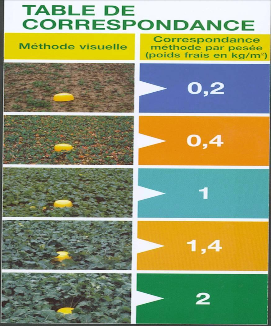 Die visuelle Schätzmethode Sensor Einfach und schnell Aber nur für klein und mittelgroß gewachsene Rapsbestände geeignet.