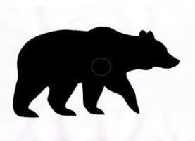 Skjutvapenkrav Vid björnprov kraven i 4 punkten - minst 9 g och E100 över 2700 J eller minst 10 g och E100 över 2000 J - huvudregel: av allmänna kaliber