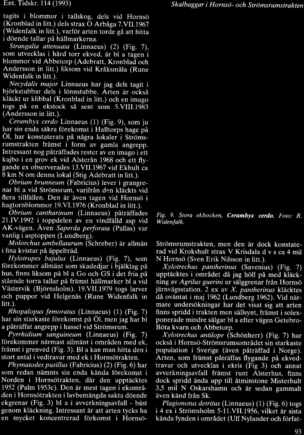 Ent. Tidskr.114 (1993) tagits i blommor i tallskog. dels vid Hornscj (Kronblad in litt.) dels strax O ArbAga 7.V1L7967 (Widenfalk in litt.