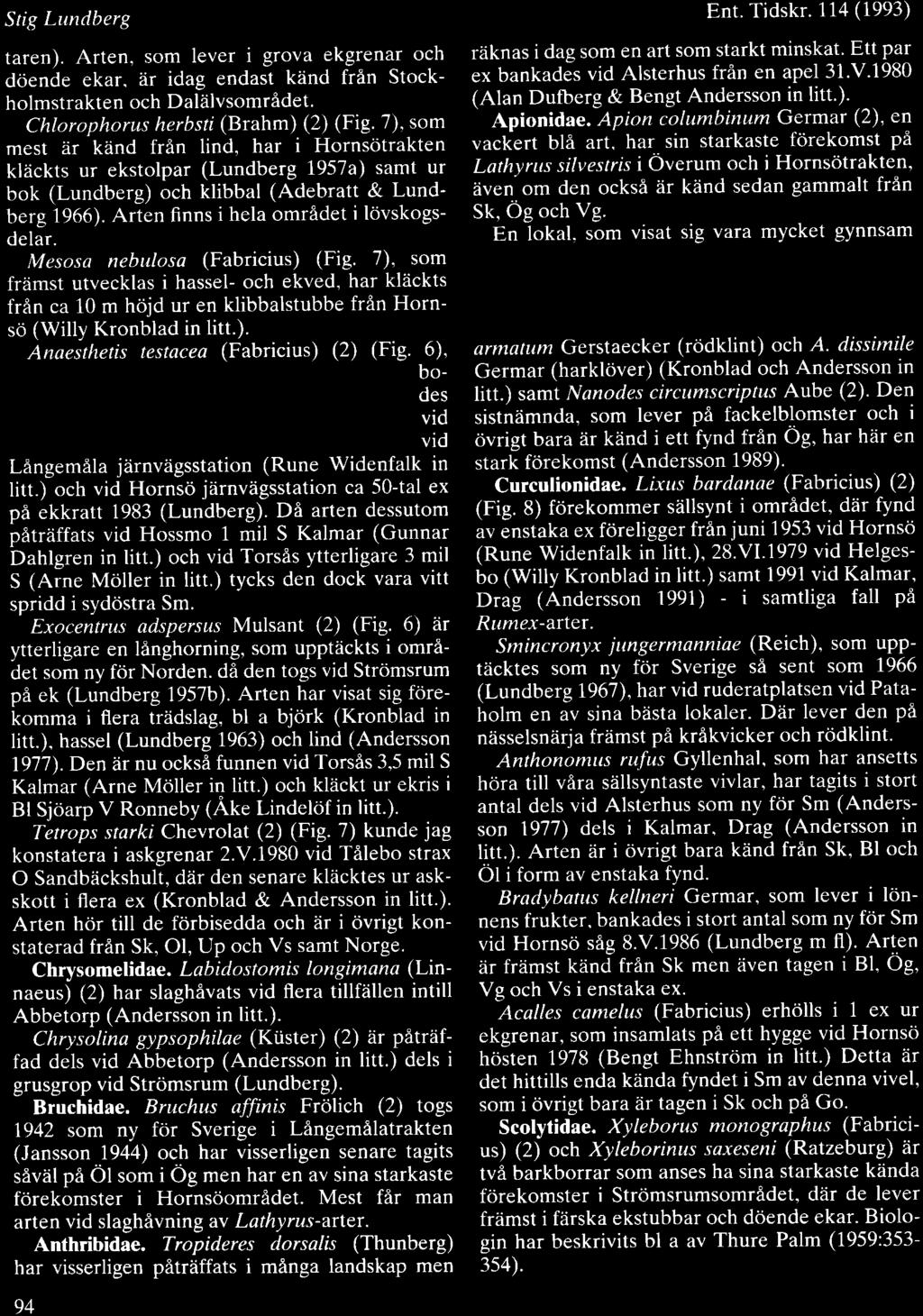 Stig Lundberg taren). Arten, som lever i grova ekgrenar och dciende ekar. ir idag endast k2ind frfln Stockholmstrakten och DaliilvsomrAdet. Chlorophorus herbsti (Brahm) (2) (Fig.