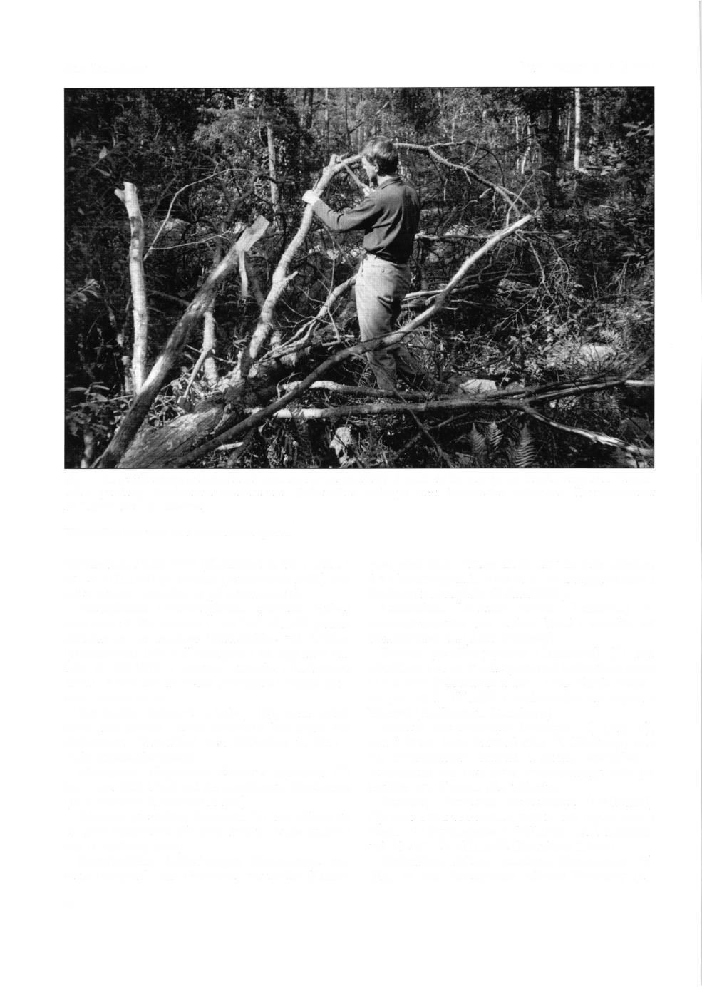 Stig Lundberg Fig.3.