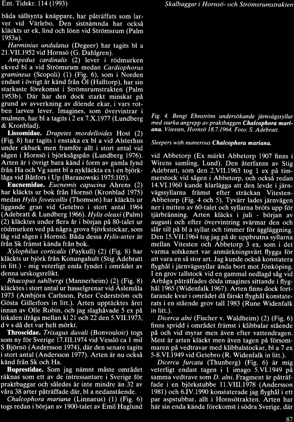 Ent. Tidskr.114 (1993) bada siillsynta kniippare, har patriiffats som larver vid Viirlebo. Den sistniimnda har ocksd kliickts ur ek, lind och lcinn vid Str0msrum (Palm 1953a).