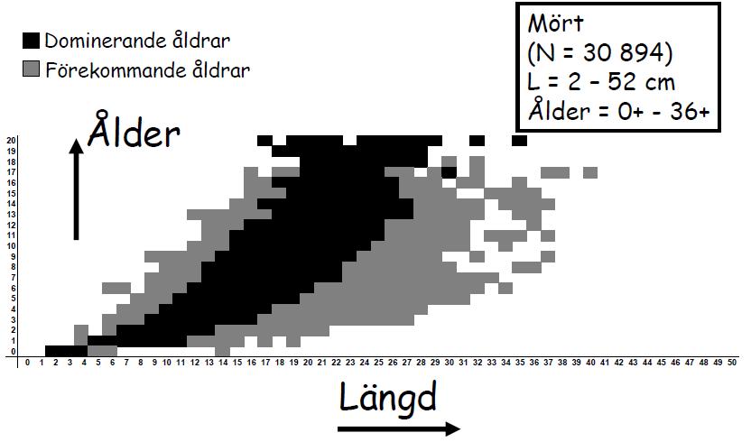 Tabellerna används i rapporten för att ge en indikation på om tillväxten i sjöarna är hög eller låg. Figur 184. Längdfördelning av resp.