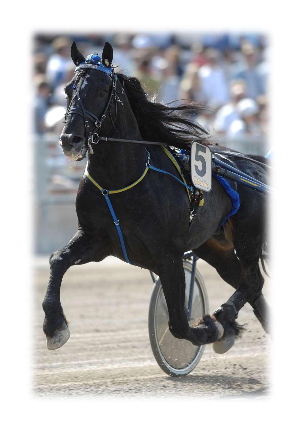 Faculty of Veterinary Medicine and Animal Science Department of Animal Breeding and Genetics Association of the DMRT3 nonsense mutation with performance in Coldblooded trotters Chameli