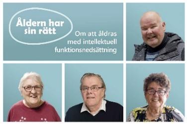 Projektet innefattar en arbetsplatsförlagd utbildning i fyra steg. Det handlar om genomförande av Demens ABC, Demens ABC plus hemtjänst alt. Säbo, Checklista demens hemtjänst alt.