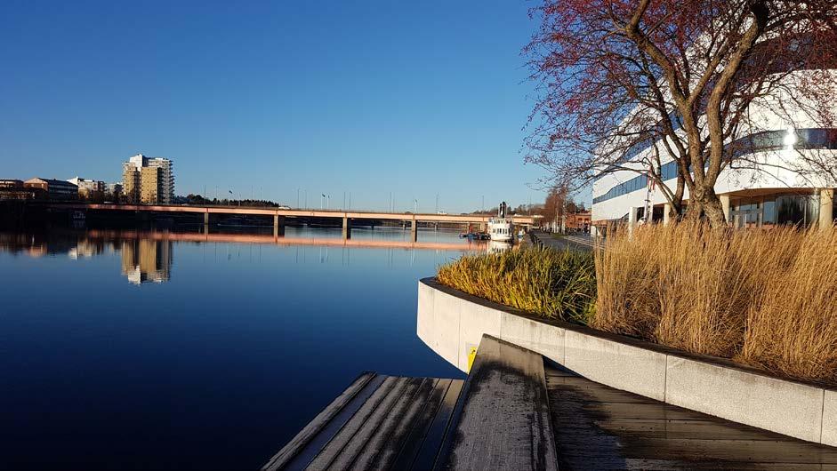 Fakulteten för landskapsarkitektur, trädgårds- och växtproduktionsvetenskap Vår- och försommarfägring i Umeå -