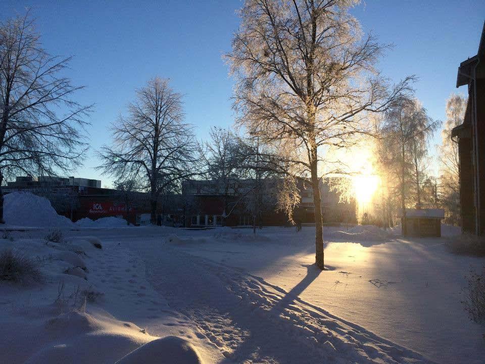 Vinter och vår som årstider Vad som definieras som vår, sommar, höst och vinter har mer med temperatur att göra än med vegetationsperioden. Enligt SMHI (2018.