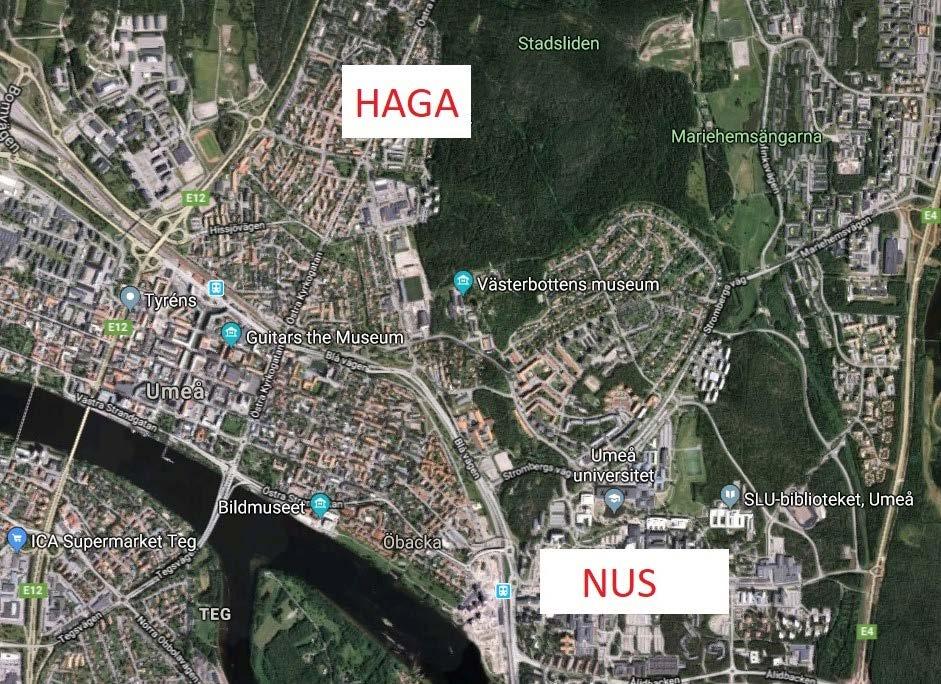 Fallstudie Växtförslag Utvalda rondeller Många av rondellerna i Umeå har sparsamt med vegetation.