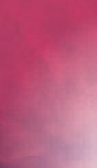 Crianz 2016 Kräftig, elegant und frisch. 7,95 Tobí Daimon Rosado 2018 Sommerlich und fruchtig. 7,95 Barriton Crianz 2015 Charmant, mit fruchtigem Finale.