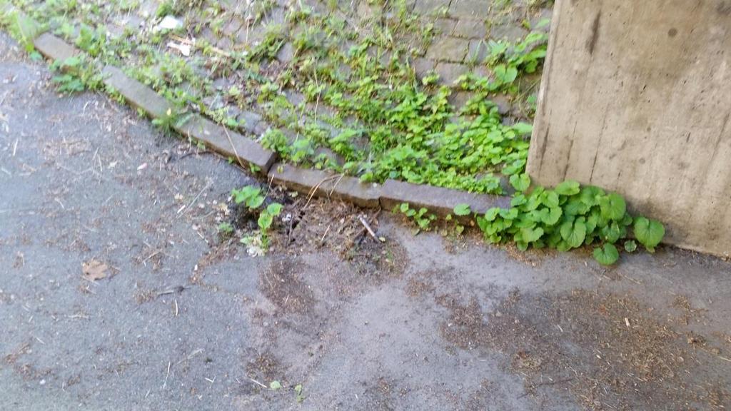 3.3.1 Förutsättningar för lokalt omhändertagande av dagvatten. Avrinningsområde A utgörs huvudsakligen av ett tunt jordtäcke på berg. Infiltrationsmöjligheterna är dåliga.