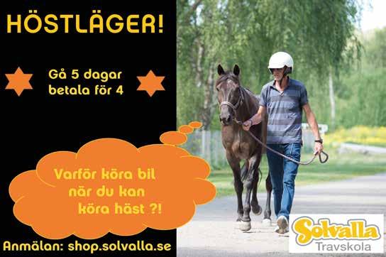 Stephanie J Werder Ställning till och med september MONTÉSTATISTIK Häst Montéstarter Rekord Prissumma Albäck Amy 9 --,9,a 08 Bonnies Celebrity -0-0,8a 0 000 Drive Launcher 0-0-0,a 00 Eeyore Bear