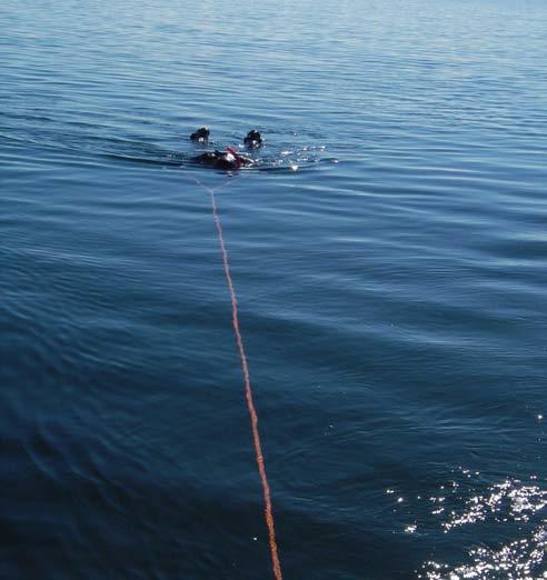 METODIK Basinventering Metod för basinventering har följt manualen för Natura 2000 Basinventering av sötvatten, delmanual för inventering av submersa makrofyter och kransalger (Olsson 2005).