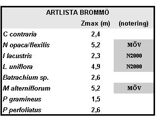 BROMMÖ Brommölokalen är en del av Brommö skärgård (SE0540077) i Mariestad, Västra Götaland. Lokalen är en västvänd vik med blandad exponering och anses vara relativt opåverkad.