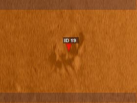 /skeppstimmer/ fartygslämning Längd 5 m ID 19 ID ID 19 Position 55 0.787 N 13 14.