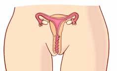 Puberteten Sidan 37 flickor bröst tamponger, bindor mens ägg äggstockar rundare höfter både flickor och pojkar hormoner kärleksbekymmer växlande humör växer utseende pojkar bredare axlar målbrott