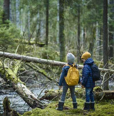 JOHNÉR BILDBYRÅ MARS Onsdag 27 mars kl. 17.30 Grönstruktur i Jönköping Blå-gröna stråk ger artrik vardagsmiljö i tätorten, och gynnar djur och växter.