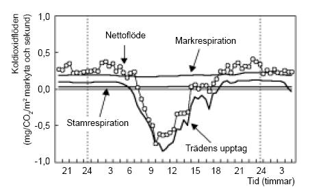 Norunda; SLU Fakta Skog nr 2, 2000