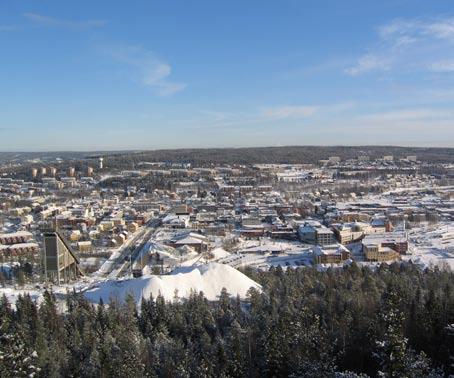 Ett omfattande regionalt samarbete har byggts upp med samverkan med de övriga sex kommunerna inom Västernorrlands län bl.a. när det gäller IT-infrastruktur.