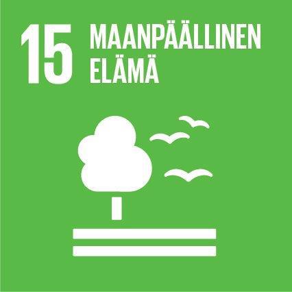 taloudellisesti, ihmisten hyvinvoinnin kuin ympäristön kannalta. Taustalla ovat kahdeksan vuoteen 2015 päättynyttä vuosituhattavoitetta sekä ympäristö- ja kehityskysymyksiä käsittelevä Rion agenda.